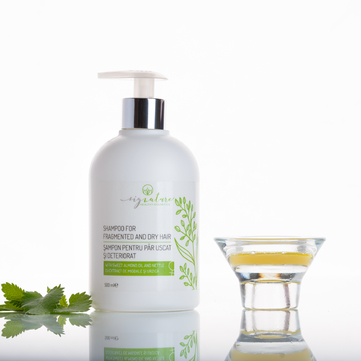 Șampon Pentru Păr Uscat și Deteriorat cu Extract de Migdale și Urzică pt Ea - 500 ml